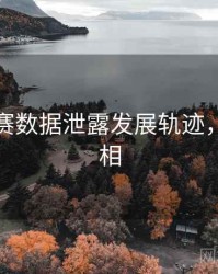 每日大赛数据泄露发展轨迹，揭秘真相