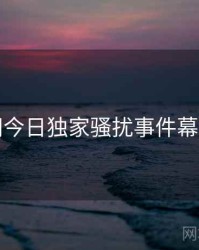 黑料网今日独家骚扰事件幕后真相