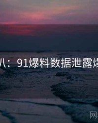 独家深扒：91爆料数据泄露爆火秘诀