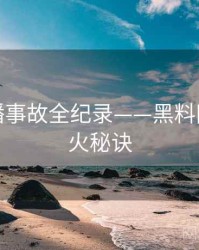 详尽直播事故全纪录——黑料网今日爆火秘诀