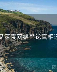 吃瓜深度网络舆论真相还原