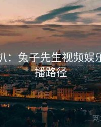 独家深扒：兔子先生视频娱乐爆点传播路径