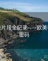 高清高能片段全纪录——欧美在线流量密码