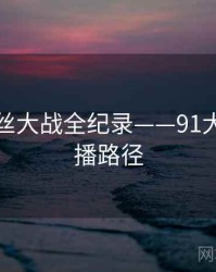 热辣粉丝大战全纪录——91大事件传播路径
