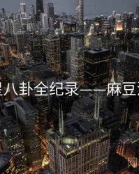 深度明星八卦全纪录——麻豆流量密码