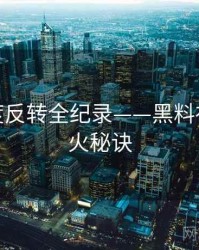 权威热度反转全纪录——黑料社官网爆火秘诀