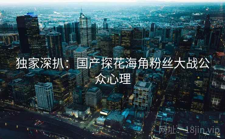 独家深扒:国产探花海角粉丝大战公众心理 独家深扒:国产探花海角粉丝大战公众心理